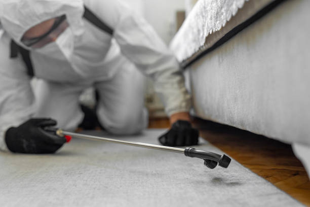 Professional Mosquito Control technician working in North Zanesville, OH