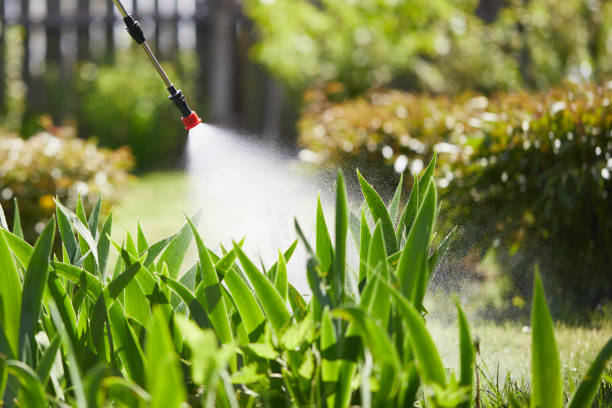 24/7 Emergency Mosquito Control experts in North Zanesville, OH