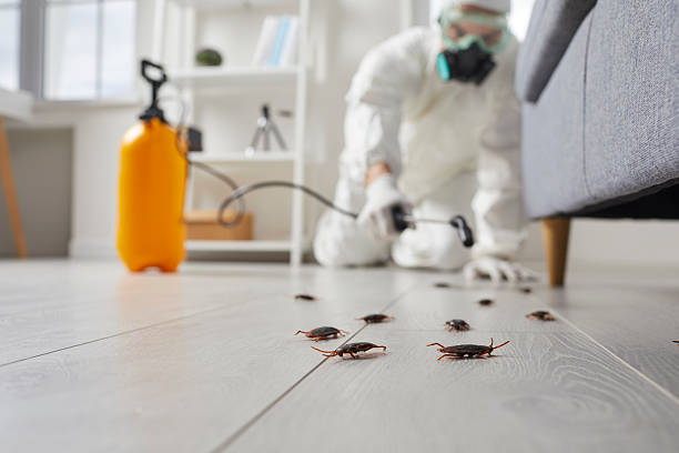 Trusted Cockroach Control service in North Zanesville, OH - Nex Pest Control