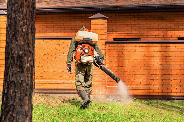 Trusted Mosquito Control service in North Zanesville, OH - Nex Pest Control